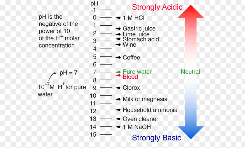 PH Hydrochloric Acid Acid–base Reaction Chemistry PNG