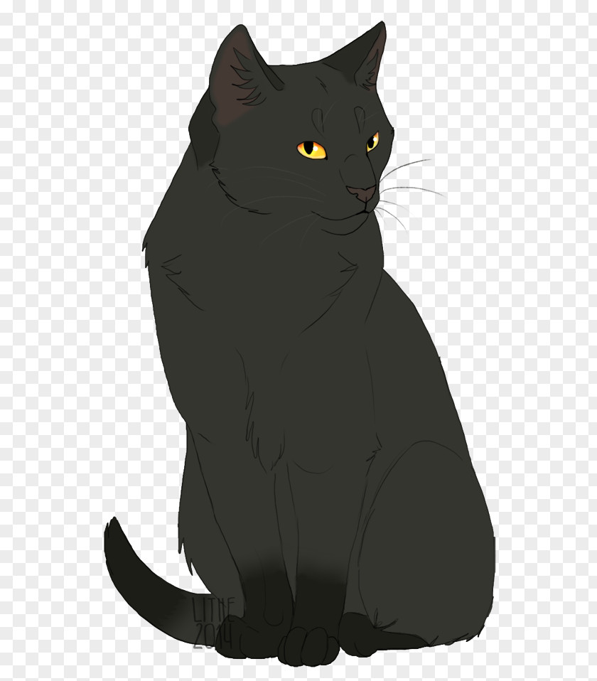 Bombay Cat Chartreux Korat Whiskers Domestic Short-haired PNG
