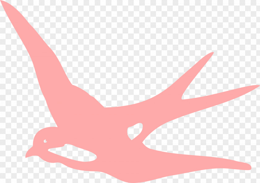 Flying Bird Swallow Flight Clip Art PNG