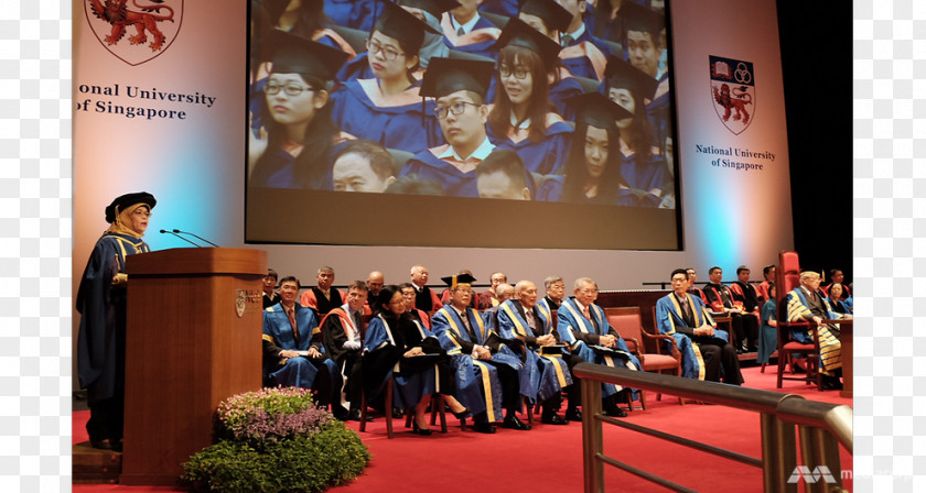 Honorary Title National University Of Singapore Public Relations Law Doctorate Government PNG