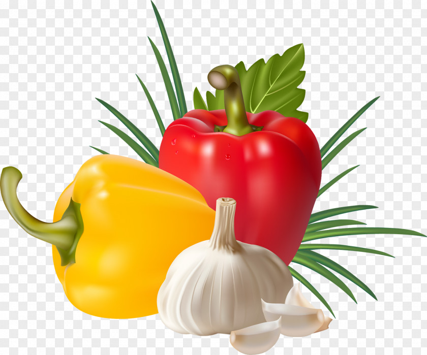 Vegetable Chili Pepper Bell Vegetarian Cuisine Food PNG