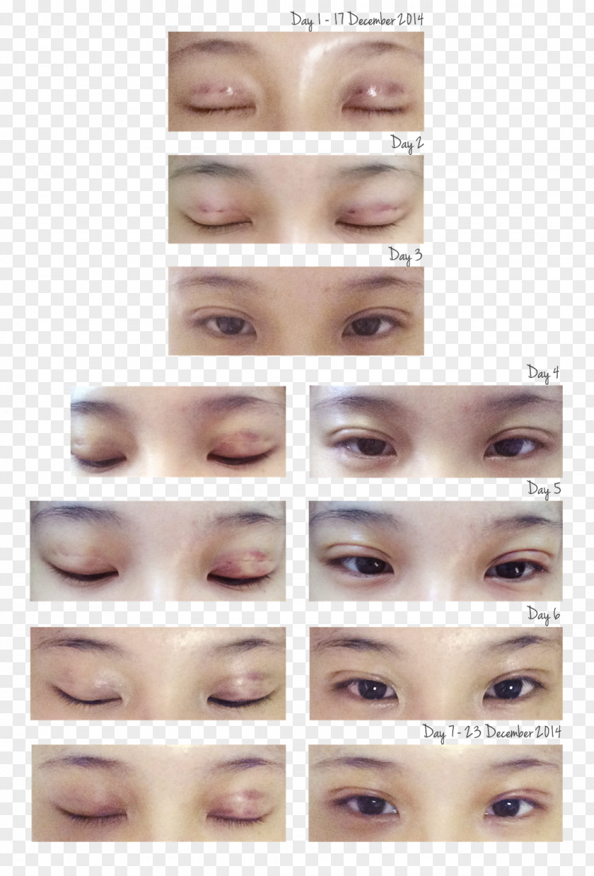 Double-fold Eyelids Eyelash Extensions Eye Shadow Liner Hair Coloring Lip PNG