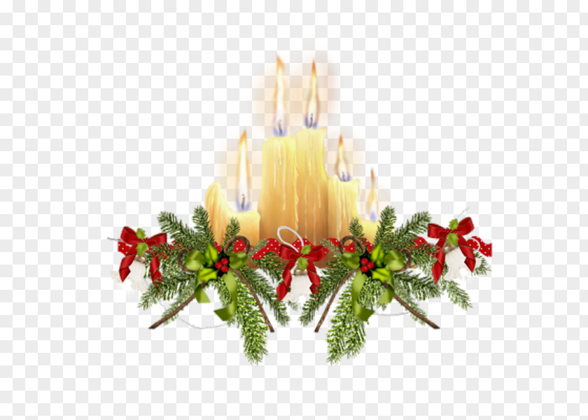 Fir Anthurium Christmas And New Year Background PNG