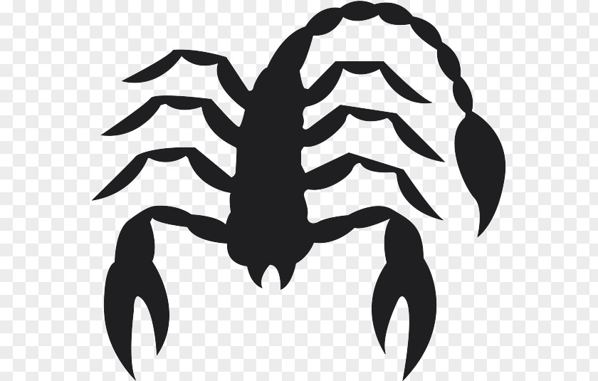 Scorpio Picture Scorpion Black And White Insect Wing Pattern PNG