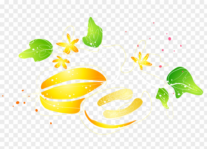 Vector Cartoon Illustration Painted Yellow Melon Cantaloupe Fruit Canary PNG
