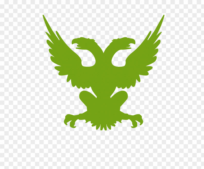 Vector Hand-painted Eagle Illustration PNG