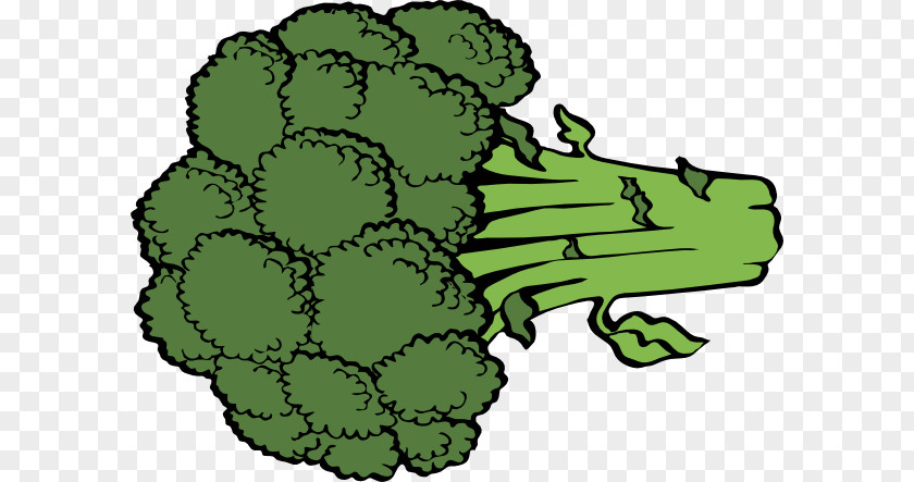 Cartoon Celery Broccoli Vegetable Royalty-free Clip Art PNG