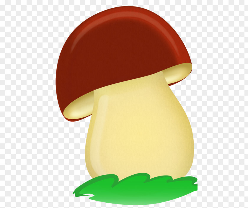 Child Penny Bun Fungus Edible Mushroom PNG