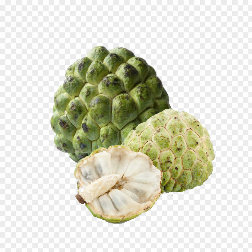 Custard Sugar-apple Custard-apple Sugar Apple Soursop PNG
