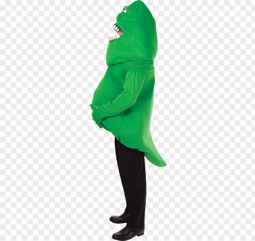 Ghost Costume Amphibian Green Outerwear PNG