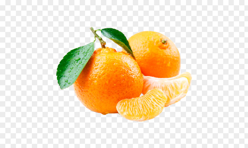 Juice Orange Mandarin Tangerine Sorbet PNG