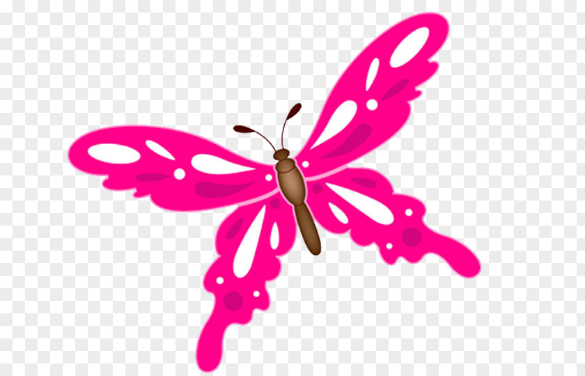 Pink Butterfly Illustration PNG