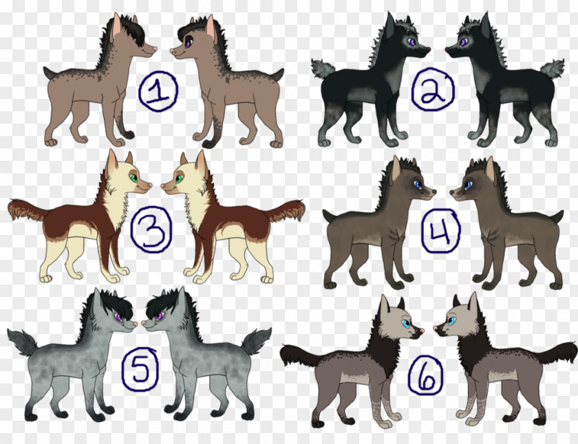 Winner Puppy Dog Breed Cat Tail PNG