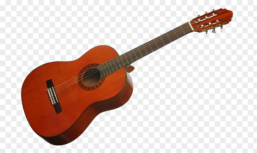 Acoustic Guitar Ukulele Cavaquinho Tiple Cuatro PNG