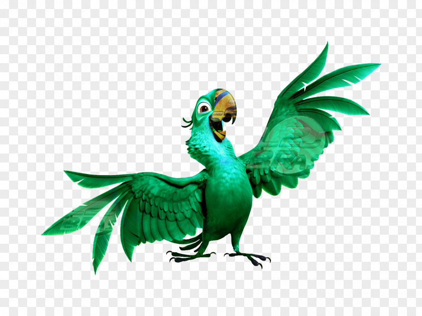 Bird Angry Birds Rio Parrot Blu 2 PNG