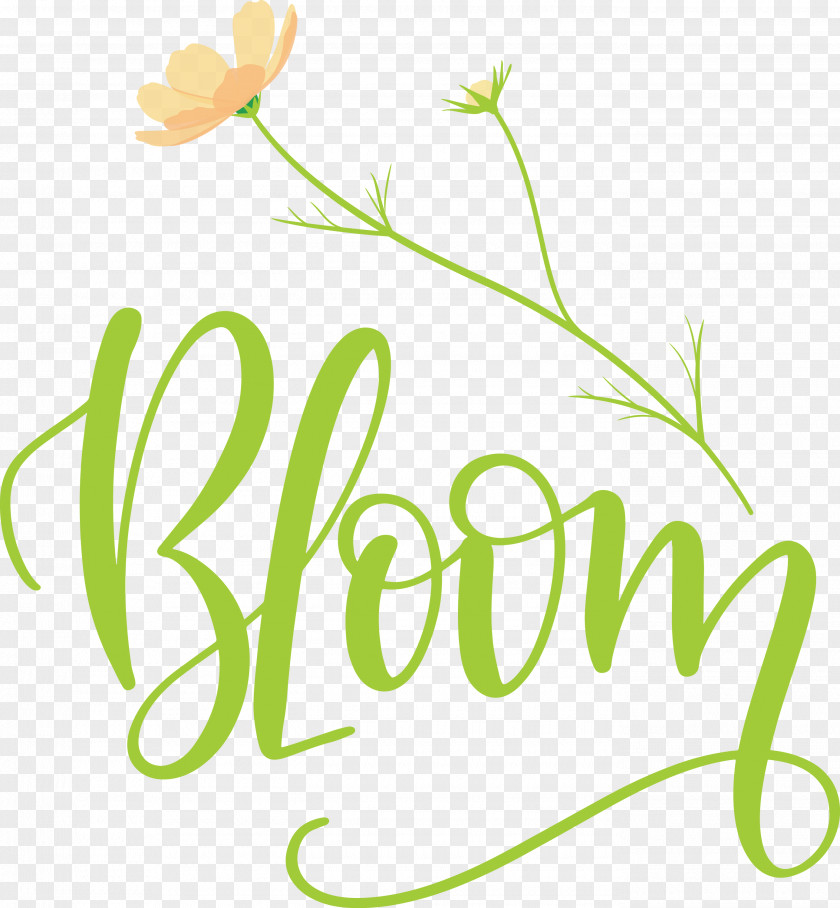 Bloom Spring PNG