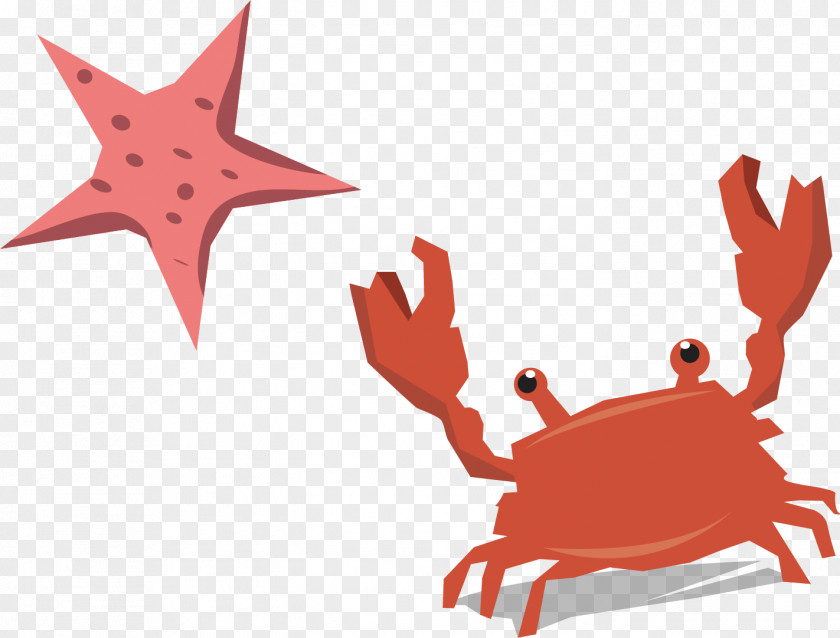 Crab Starfish Vector Material Clip Art PNG