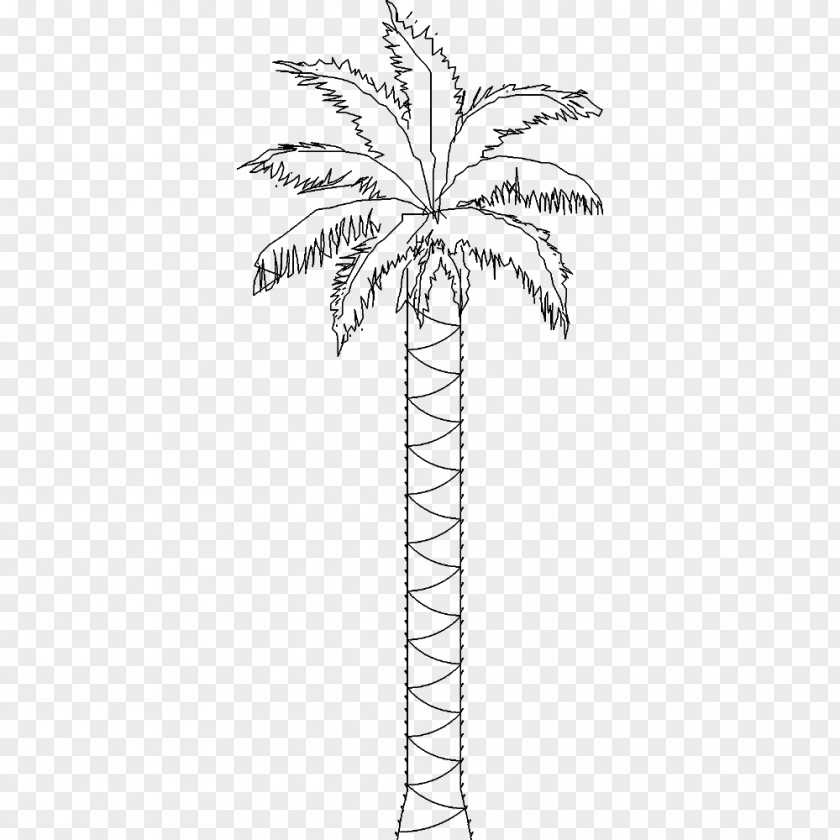 Date Palm Twig Arecaceae Plant Stem Leaf PNG