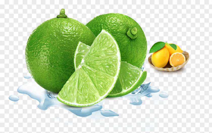 Lemon Element Juice Thai Cuisine Lime Seed PNG