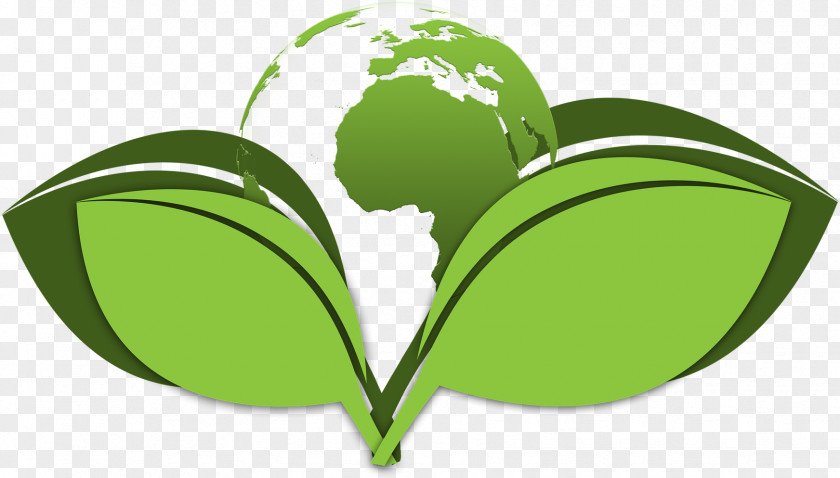 Logo Symbol Green Leaf PNG