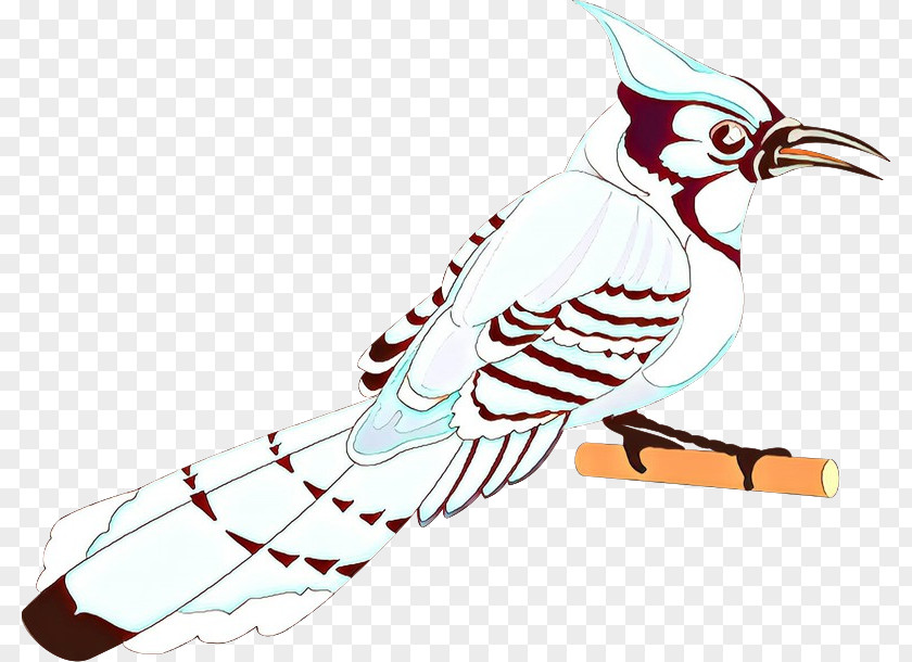 Tail Perching Bird Line Drawing PNG