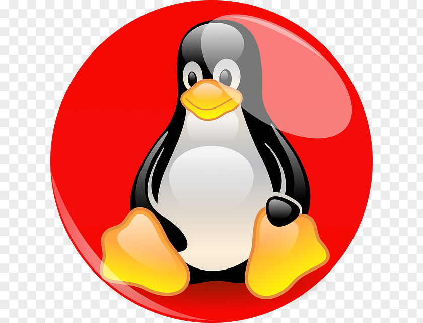 Fig Linux Foundation Penguin Kernel Distribution PNG