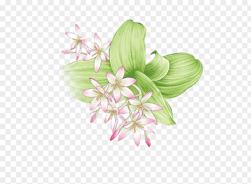 Floral Decorative Elements Design Flower Clip Art PNG