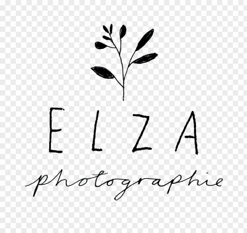 照明logo High Park Lifestyle Photography Photographer Elza Photographie PNG