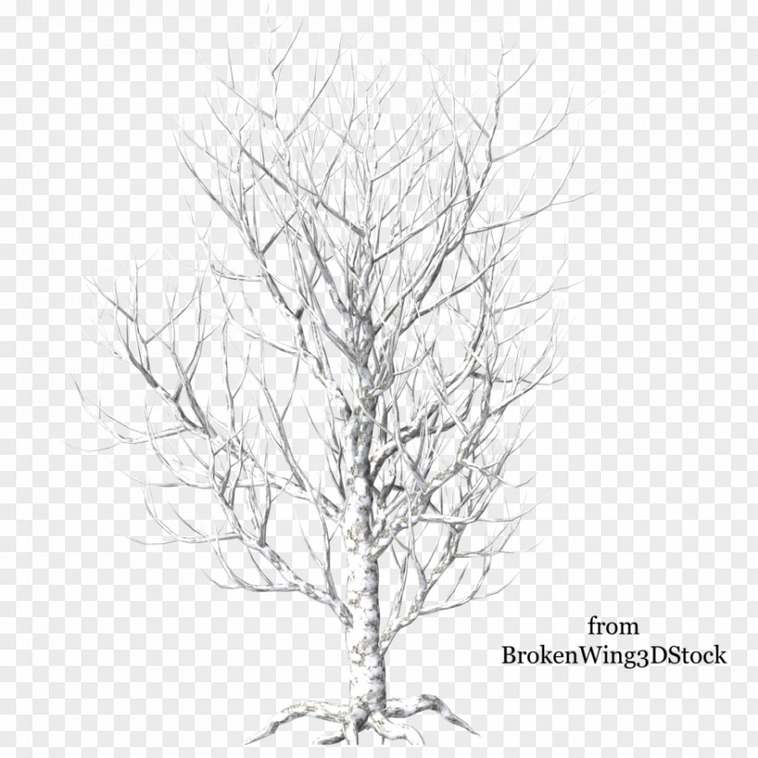 Snow Tree Branch Winter Clip Art PNG