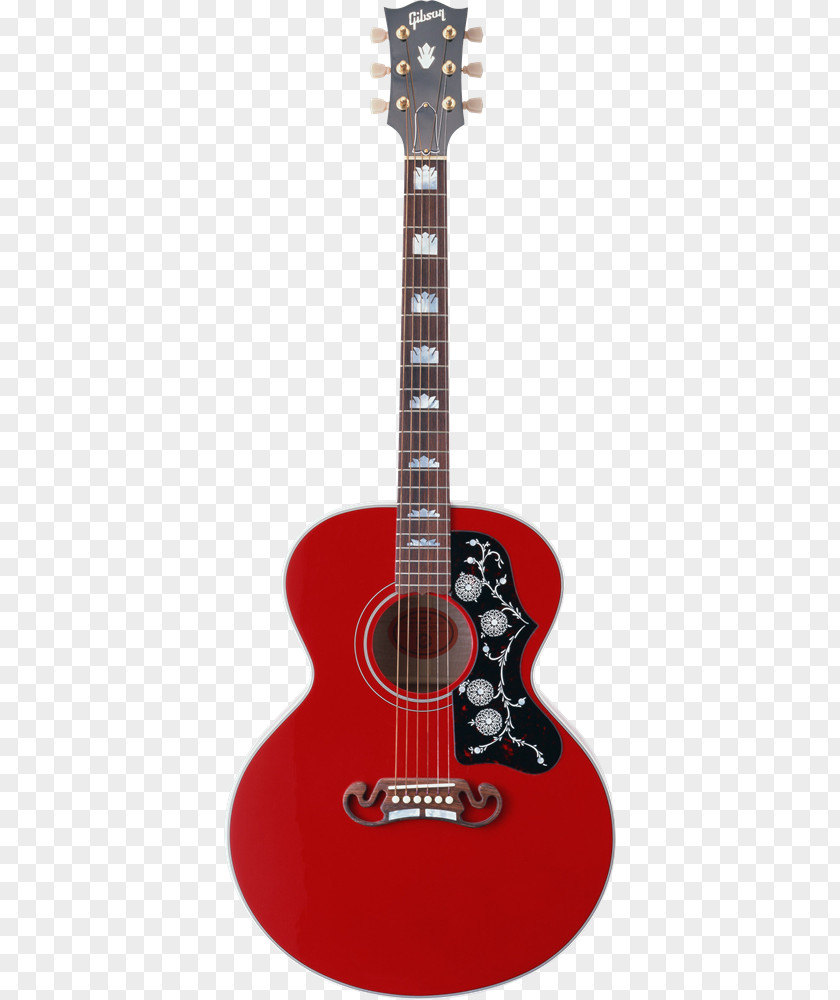 Acoustic Guitar Electric PNG