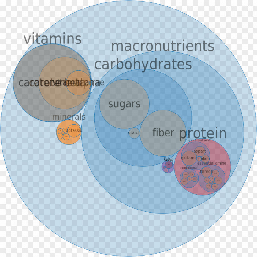 Carrot Nutrition Micronutrient Diet Eating PNG