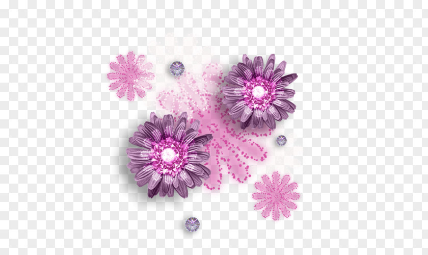 Chrysanthemum Transvaal Daisy Pink M Petal PNG