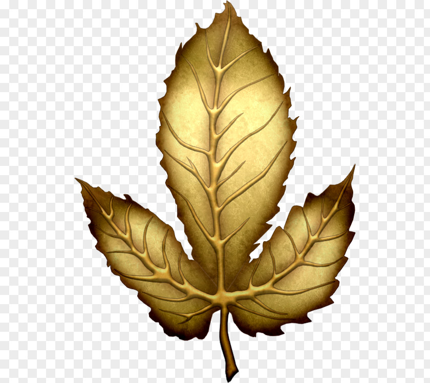 Gold Leaf Clip Art PNG