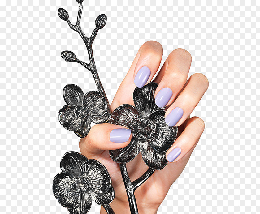 Light Purple Nail Polish Manicure Lilac Fashion PNG