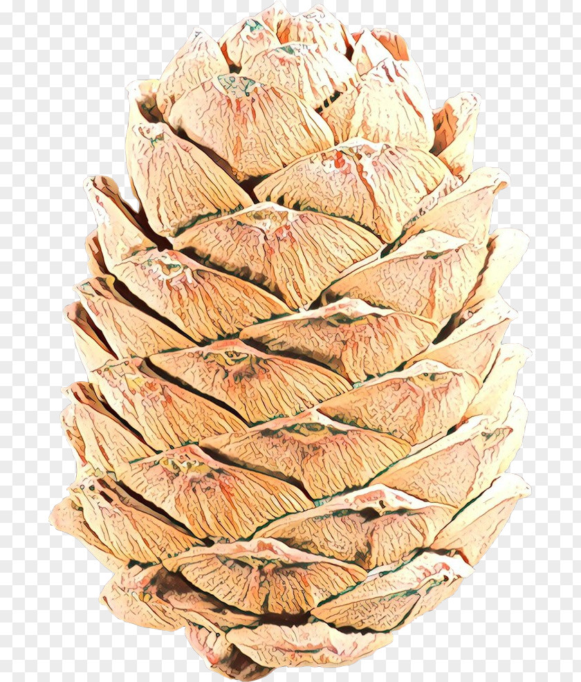 Tree Plant Thread Peach Rope PNG