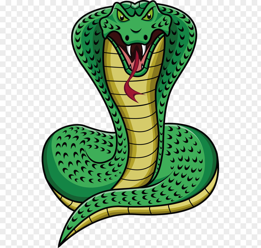 Anaconda Snake Drawing Cobra Clip Art PNG