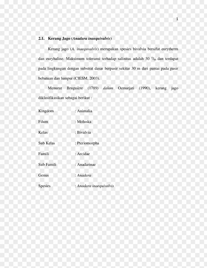 Line Document Angle Brand PNG