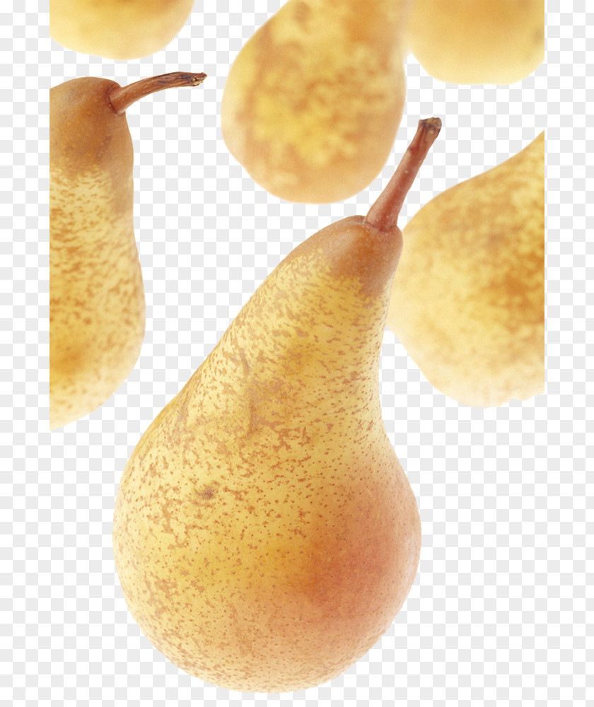 Long Neck Pear Fruit Creative Perspective Pyrus Xd7 Bretschneideri Auglis Stock Photography PNG