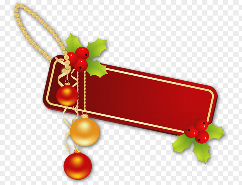 Portable Network Graphics Christmas Day GIF PNG , christmas ornaments clipart PNG