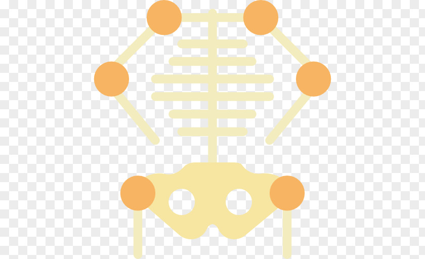 Skeleton Bone Human Skull PNG