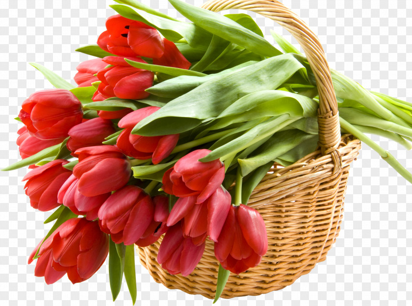 Tulip Flower Bouquet Desktop Wallpaper PNG