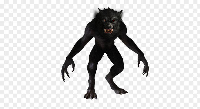 Werewolf Bigfoot Gray Wolf YouTube Legendary Creature PNG