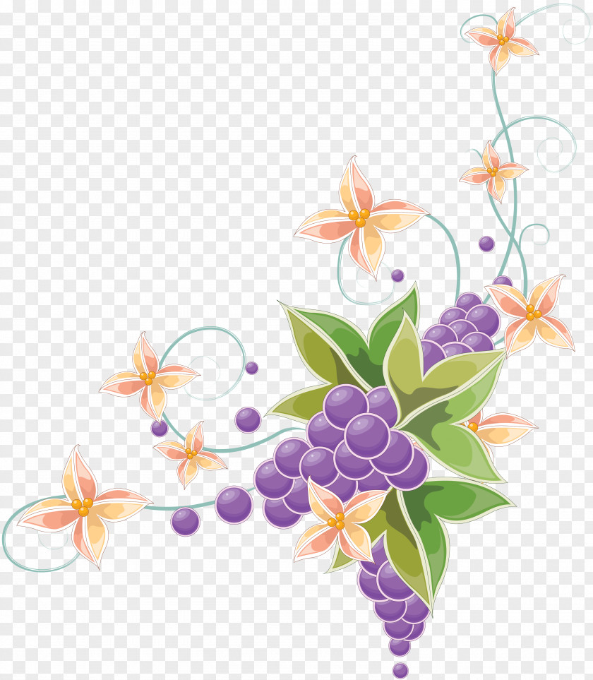 Wine Grape Vine Flower PNG
