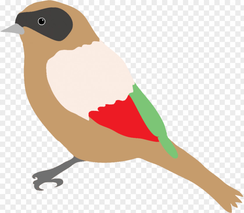 Bullfinch Bird European Robin Sparrow Drawing Clip Art PNG