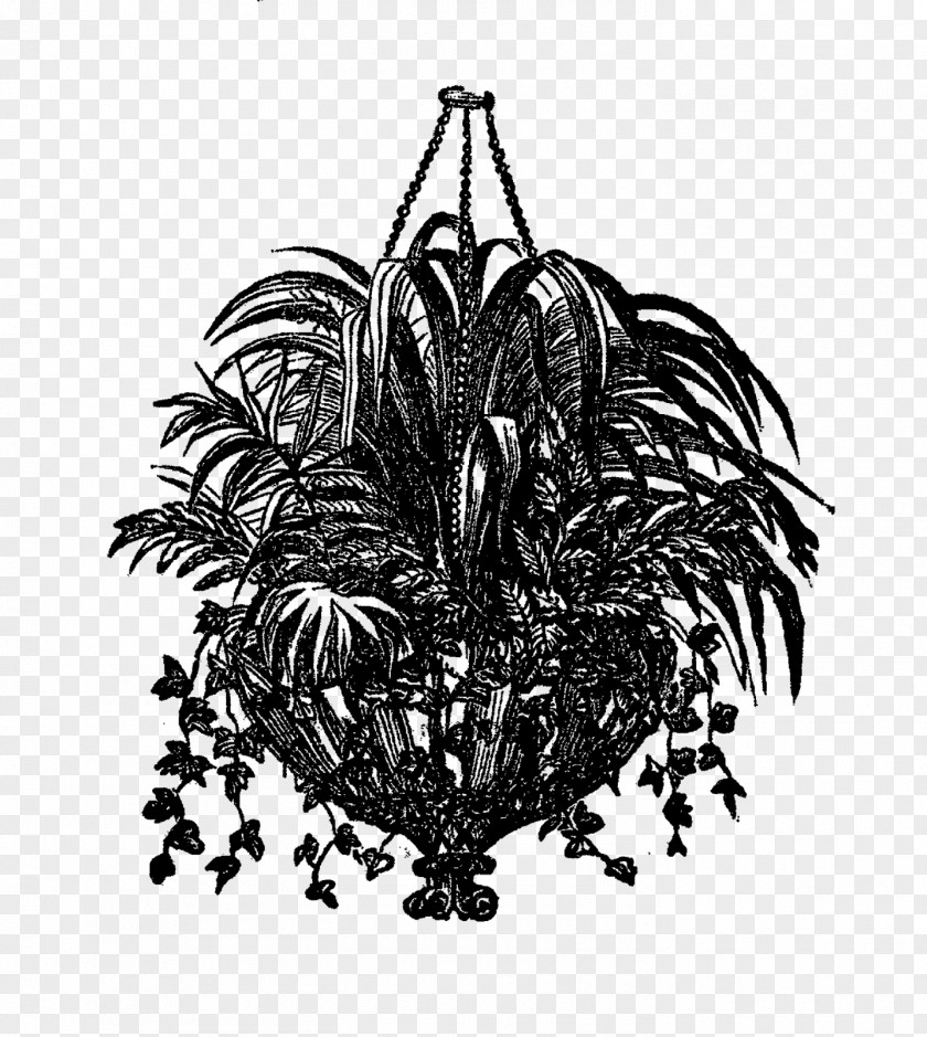 Design Drawing Hanging Basket Monochrome Clip Art PNG