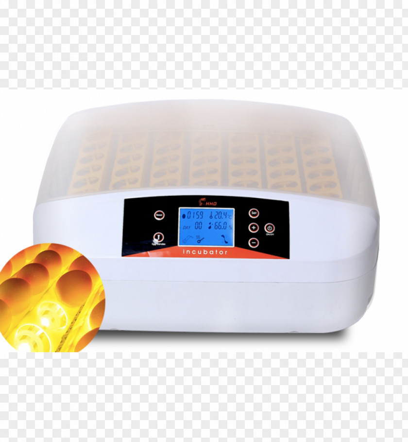 Egg Incubator Hygrometer Poultry Chicken PNG