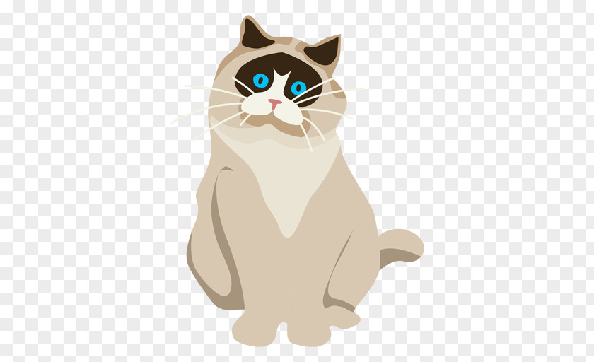 Gato De Bengala Ragdoll Exotic Shorthair European Vector Graphics Illustration PNG