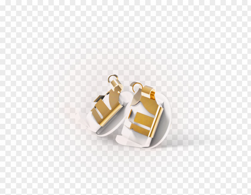 Jewellery Earring Lox Earwire Locket PNG