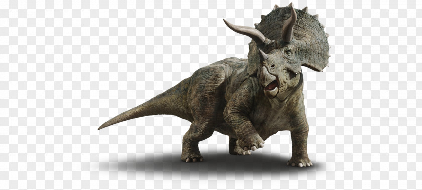 Jurassic World Baby Triceratops Le Guide De Survie Chaos Island: The Lost Dinosaur PNG