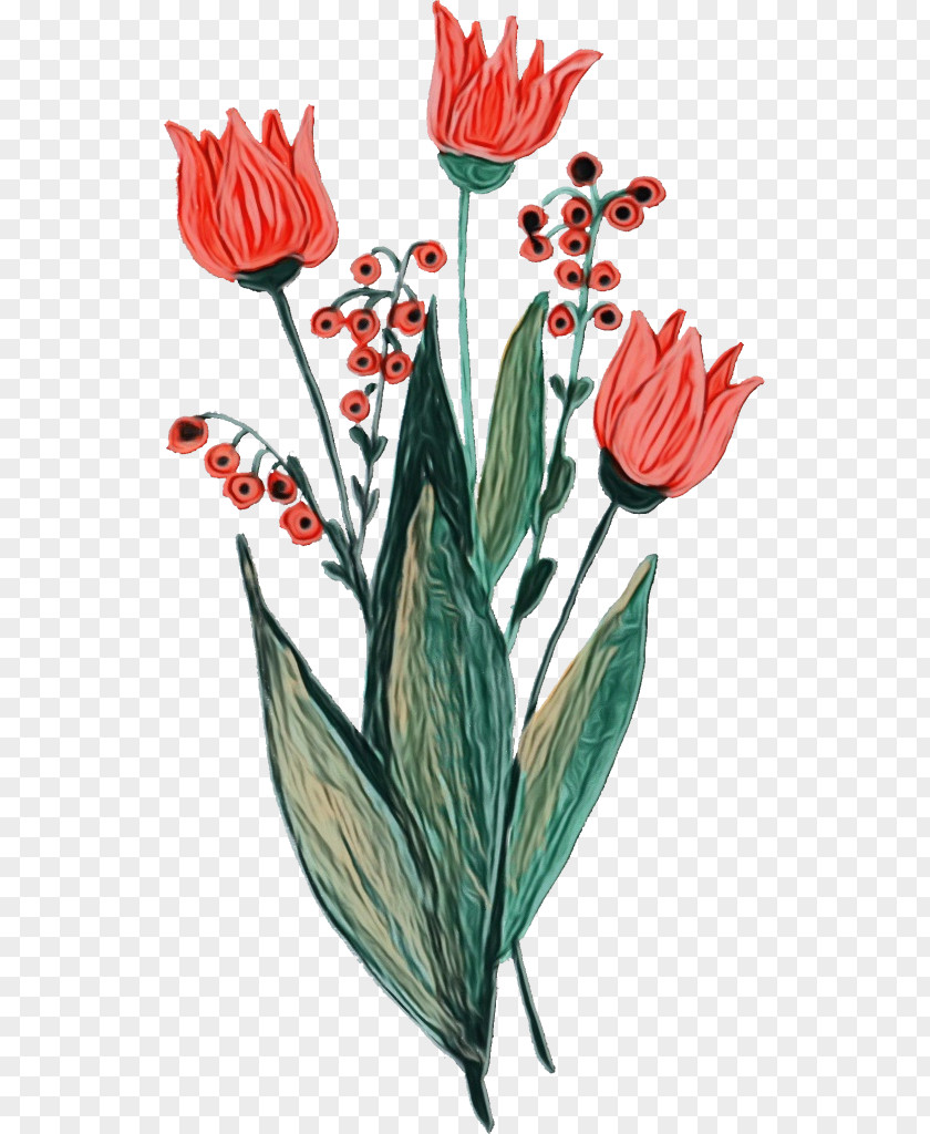 Plant Stem Cut Flowers Tulip Flowerpot Petal PNG
